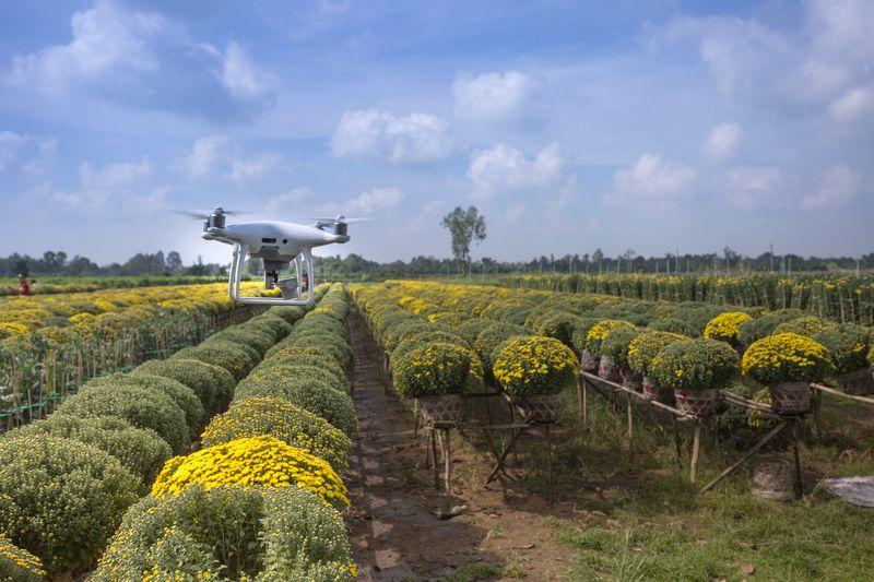 Smart Agriculture Sensor Network — project image